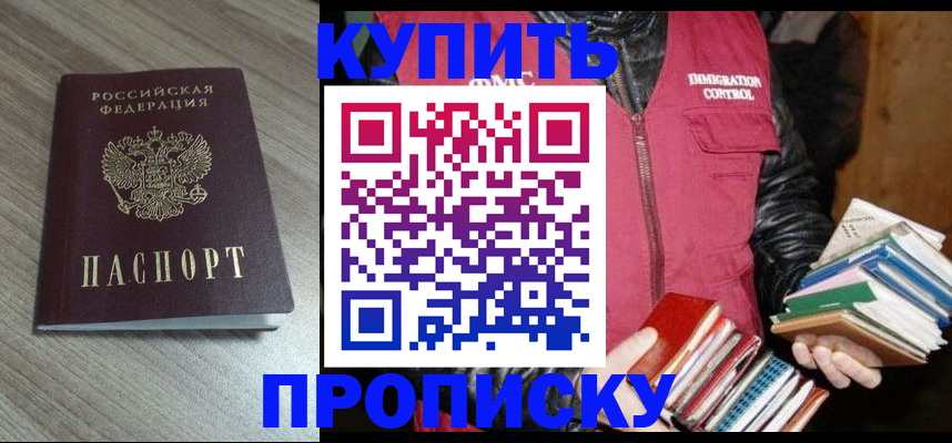 прописка 2025 в Плавске