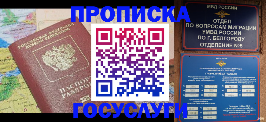 прописка регистрация в Плавске